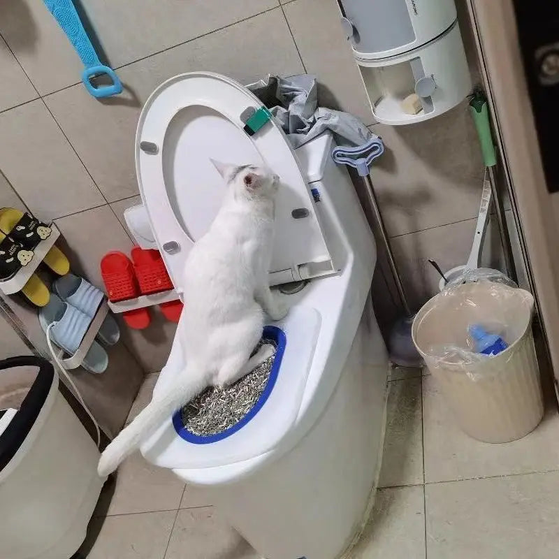 Cat Toilet Trainer Kit – Reusable Toilet Training System for Cats | Easy Installation